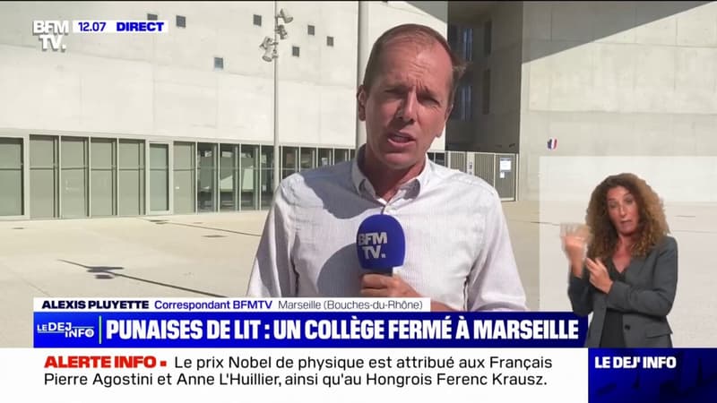 Punaises de lit: un collège de Marseille infesté contraint de fermer quelques jours