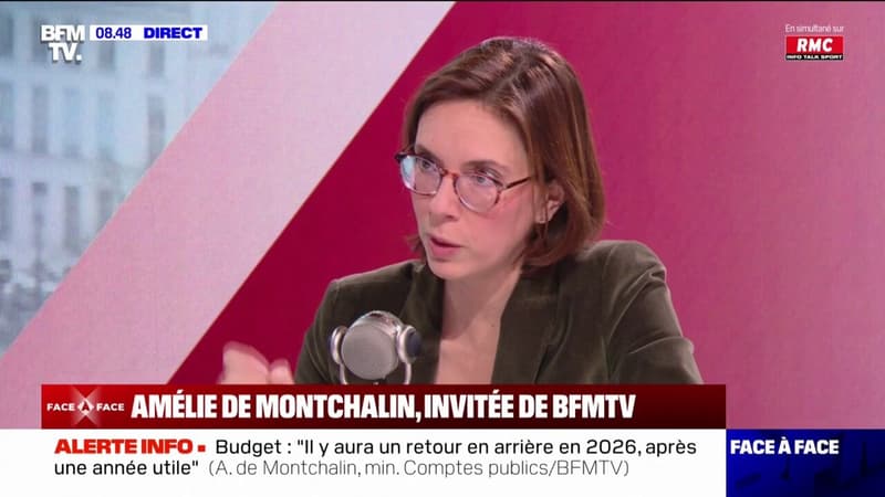 Pour Amélie de Montchalin, ministre des Comptes publics, le PS reste dans l'opposition