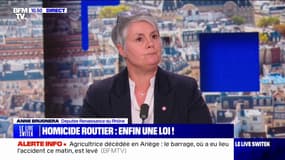 Création d'un homicide routier: "Nous mettrons en évidence les circonstances aggravantes et que les peines demandées seront plus élevées" affirme Anne Brugnera, députée Renaissance