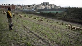 Les écarts de perspectives de revenus sont plus élevés entre deux jeunes ayant grandi dans une même ville qu'entre jeunes venu de la ville et jeunes venus de la campagne. 