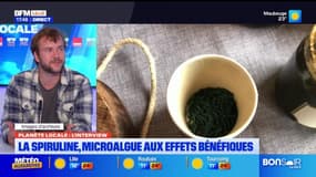Planète Locale du mercredi 11 juin - La spiruline, microalgue aux effets bénéfiques