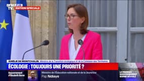 Amélie de Montchalin: "J'appelle à une mobilisation générale de tous les Français pour que nous fassions de l'écologie notre projet national"