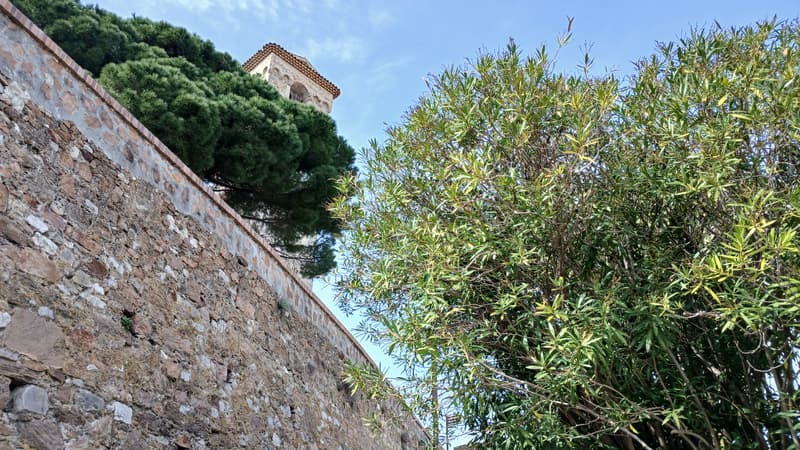 "Un rapport de 1 à 11" entre les rues les plus chères des 50 plus grandes villes de France: les écarts de prix restent immenses, même au sommet du marché immobilier