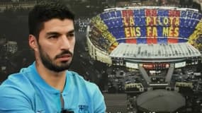 Suarez