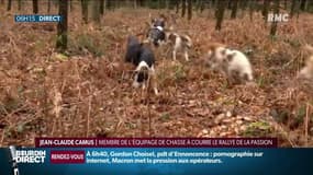 Femme enceinte tuée par des chiens: que s’est-il passé ?