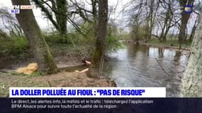 Haut-Rhin: la Doller polluée au fioul, la préfecture assure qu'il n'y a pas de risque