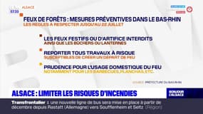 Alsace: comment limiter les risques d'incendies?