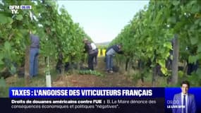 L'inquiétude des viticulteurs français face à l'entrée en vigueur de taxes américaines sur les vins français