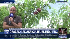 Orages à répétition: les agriculteurs inquiets (2/2)