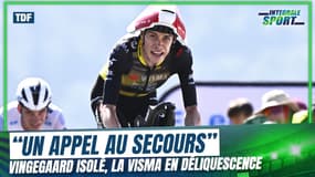 Tour de France : "Ne me lâchez pas", Pineau analyse l'appel au secours de Vingegaard