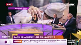 A vous de nous dire - Baisse de la natalité : Est-ce inquiétant ? 