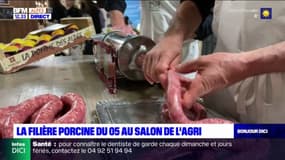 Salon de l'agriculture: la filière porcine des Hautes-Alpes propose un atelier de découverte