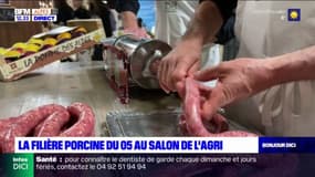 Salon de l'agriculture: la filière porcine des Hautes-Alpes propose un atelier de découverte