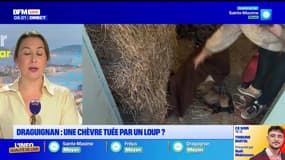 Le journal de 8h du mardi 18 novembre 2025