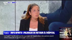 Pierre Palmade à nouveau hospitalisé, à sa demande