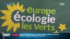 Municipales: à 5 semaines du premier tour, les écologistes ont le vent en poupe