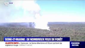 Surveillance accrue en Seine-et-Marne après de nombreux feux de forêt 