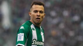 Bernard