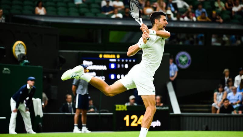 N. Djokovic