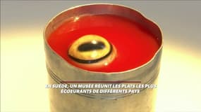Bienvenue au musée... le plus ignoble du monde