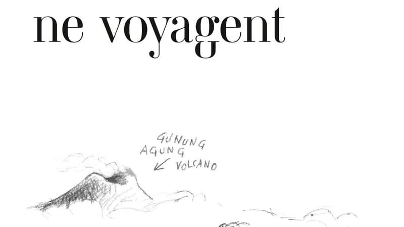 Jamais les papillons ne voyagent