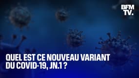 Quel est ce nouveau variant du Covid-19, JN.1?  