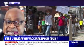 "J'ai reçu des coups, notamment à la tête": Agressé par des opposants à la vaccination obligatoire des soignants, le directeur général du CHU de Guadeloupe raconte