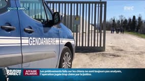 En quoi consiste "Demeter", la cellule créée par le gouvernement pour lutte contre l’agribashing?
