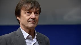 Nicolas Hulot, le 10 décembre 2015. 