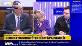 40 milliards d'euros d'économie à trouver: la piste d'une "année blanche"