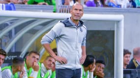 Zinedine Zidane (Real Madrid)