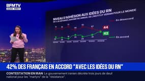 AME, regroupement familial ... 42% des Français sont en accord avec les idées du RN