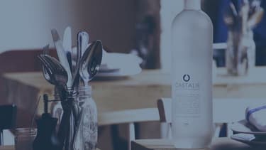 En 2015, Castalie a intégré le hub start-up de Bpifrance dans l'objectif d'accélérer son développement.