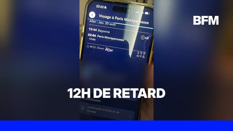La galère des passagers d'un train Hendaye-Paris bloqués après une rupture de caténaire