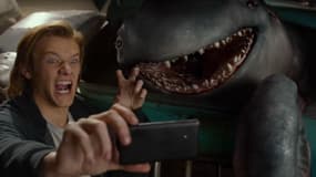 Monster Trucks