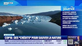 COP16: des "crédits" pour sauver la nature