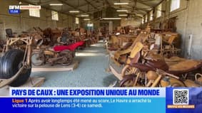 Pays de Caux: une collection d'objets de véhicules grandeur nature en bois exposée à Royville