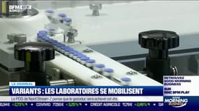 Comment les laboratoires se mobilisent dans la course à "la troisième dose"