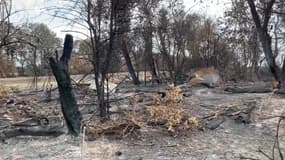 L'incendie a complètement détruit les ruches d'un apiculteurs et la ferme de particuliers.