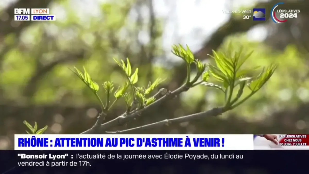 placeholder video