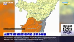 Sécheresse dans le Bas-Rhin: le bassin hydrographique de la Lauter, Sauer, Moder et Zorn placé en alerte