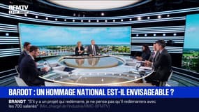 Mort de Brigitte Bardot: un hommage national est-il envisageable?