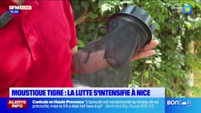 JT du Sud du lundi 30 juin
