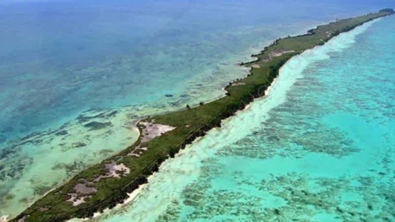 Leonardo DiCaprio est propriétaire de l'île de Blackadore Caye qu'il a acquise pour 1,7 million d'euros.