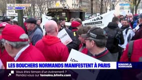 Hausse du coût de l'énergie: les bouchers normands manifestent à Paris