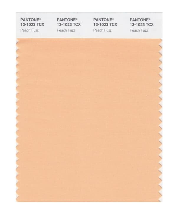 Peach Fuzz, couleur de l'année 2024 selon Pantone.