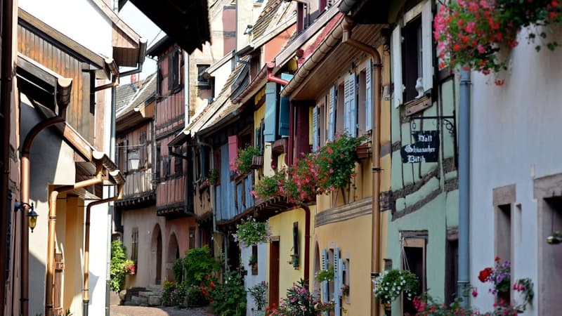 Alsace, Bretagne, Savoie... quelles sont les régions qui achètent le plus de marques locales ?