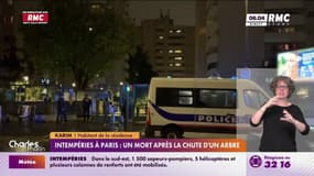 Intempéries à Paris: un mort après la chute d'un arbre 