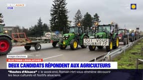 Législatives dans le Bas-Rhin: les candidats répondent aux revendications des agriculteurs