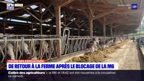 Colère des agriculteurs: de retour à la ferme après le blocage de la M6